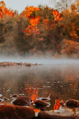 5 Fall Camping Destinations