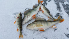 9 Tips for Ice Fishing Safety