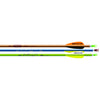 Easton Genesis V2 Arrows Blue/Green/Orange 1820 72 pk.