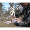 Heads Up Whitetail Buck Decoy