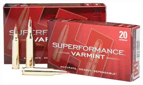 Hornady SPF Varmint V-Max 20 Ammo