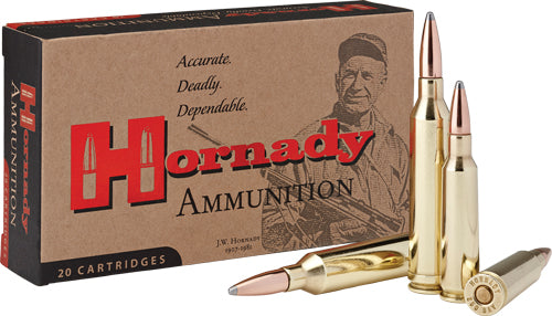 Hornady Interlock 20 Ammo