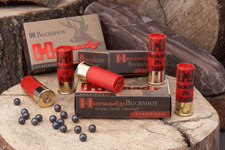 Hornady 10 Ammo